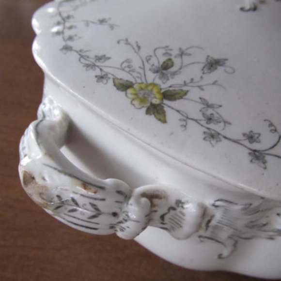 T & R Boote Waterloo Potteries transferware Schonbrunn White Ironstone Covered - Picture 9 of 9